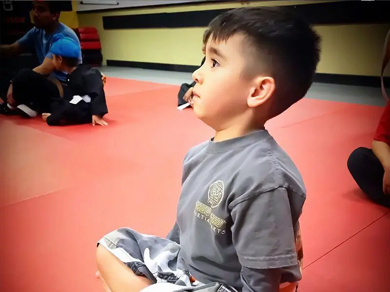 preschool martial arts classes in clovis fresno